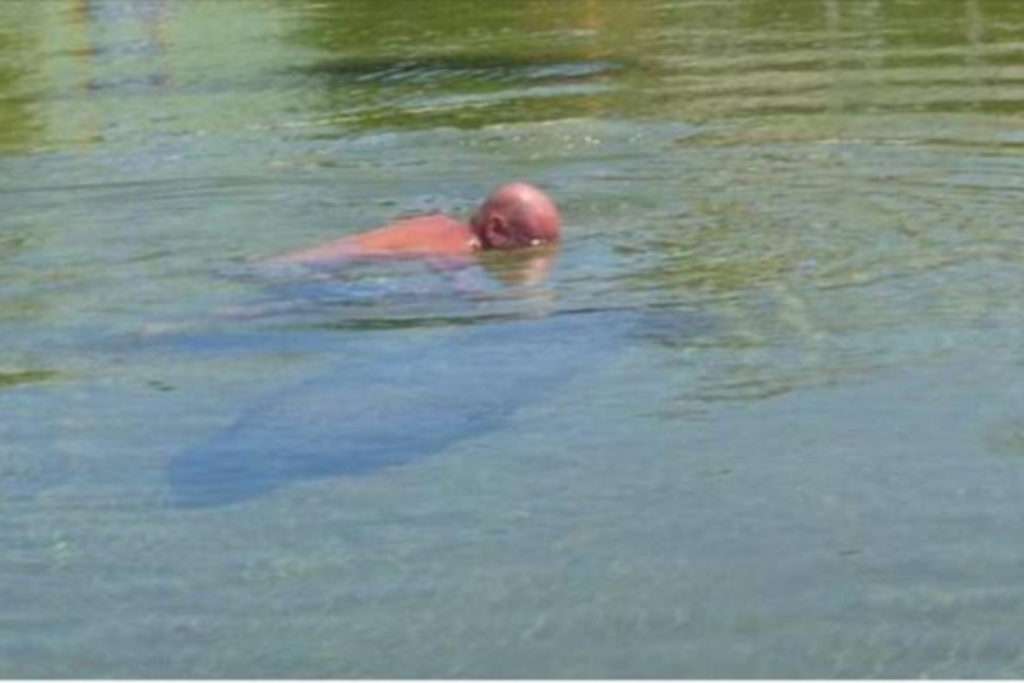 Florida man Rides Manatee, Talks Smack to Cops