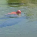 Florida man Rides Manatee, Talks Smack to Cops