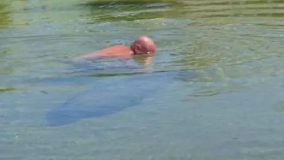 Florida man Rides Manatee, Talks Smack to Cops
