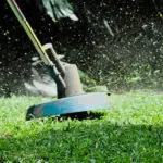 Florida Man Weed Whacks His Neighbor