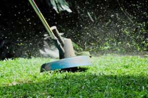Florida Man Weed Whacks His Neighbor