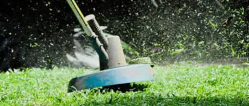 Florida Man Weed Whacks His Neighbor