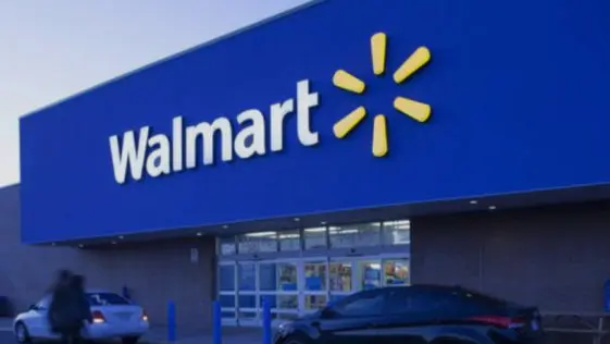 Florida Woman Who Stole from WalMart Plans to Apply for Job - at WalMart