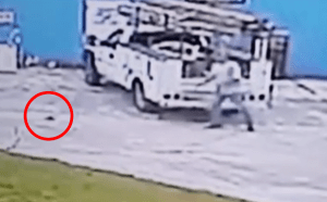 Florida Man Attacked by Florida Squirrel