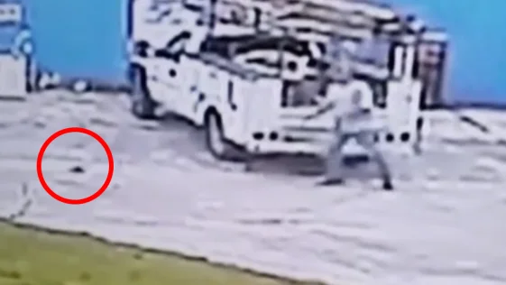 Florida Man Attacked by Florida Squirrel