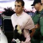 Florida Man Driven Stolen Car into Ditch, Has Diaper-Wearing Monkey Attached to Him