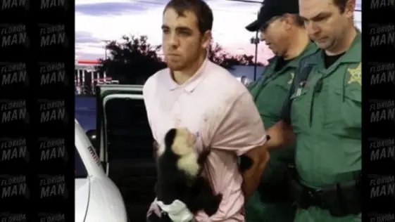 Florida Man Driven Stolen Car into Ditch, Has Diaper-Wearing Monkey Attached to Him