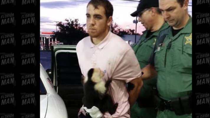 Florida Man Drives Stolen Car into Ditch, Has Diaper-Wearing Monkey Attached to Him