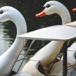 Florida Man Steals Swan Boat, Gets Stranded on Lake Eola Fountain
