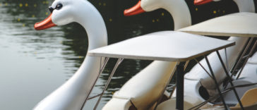 Florida Man Steals Swan Boat, Gets Stranded on Lake Eola Fountain