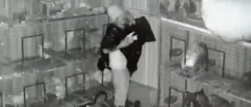 Florida Man Wearing Bucket on Head Breaks into Store to Steals Pigeons