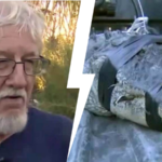 80 Year Old Florida Man Fights Alligator