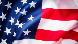 Florida Man Breaks into Village Hall, Causes $500,000 in Damages, Smears Blood on American Flag