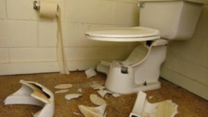 Florida Man Fires Gun inside Home, Shatters Toilet April 8