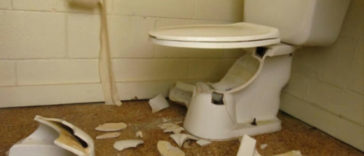 Florida Man Fires Gun inside Home, Shatters Toilet April 8