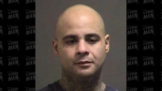 Florida Man on Meth Attacks Mattress, Was Looking For Man Hiding Inside