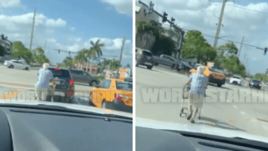 Florida Man Thinks His Shopping Cart Is a Street Legal Car | Florida Man