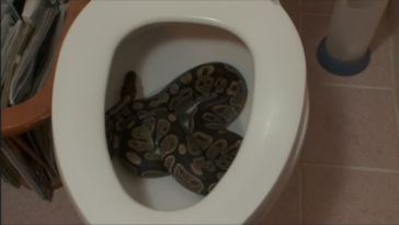 Florida Man Attacked by Python Hiding in Toilet May 26