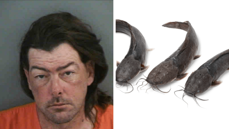 Florida Man Impersonates FBI Agent, Harasses Homeowner, Leaves Live Catfishes on Driveway, Flees on Bicycle May 12
