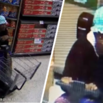 Florida Man Wearing Bonnet & Flower Dress Steals Baby Formula
