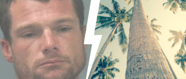 Shirtless Florida Man Fights Tree