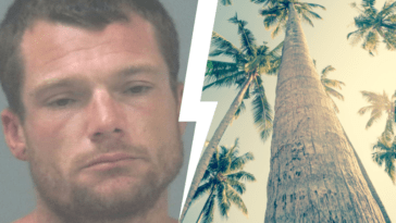 Shirtless Florida Man Fights Tree