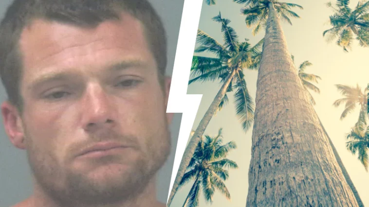 Shirtless Florida Man Fights Tree