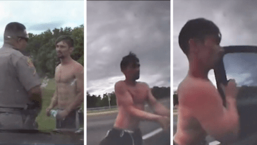 Shirtless Florida Man Steals FHP Cruiser, Takes off down Highway at 150mph