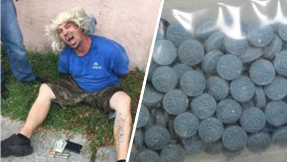 Wig-Wearing Florida Man Arrested Among 100 Others in Epic Fentanyl Bust. May 2