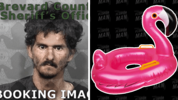 Florida Man Steals 75 Pool Floats So He Can Have Sex with Them