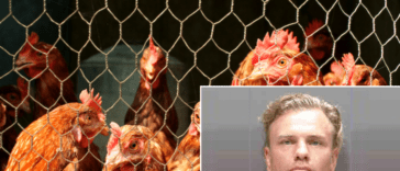 Florida Man Threatens Man with Ax, Steals and Crashes Car, Found Naked Hiding in Chicken Coop