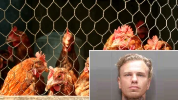 Florida Man Threatens Man with Ax, Steals and Crashes Car, Found Naked Hiding in Chicken Coop