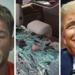 Florida Man Smashes 20 Car Windows, Says Trump Owes Him 1 Trillion Dollars