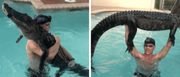 Florida Man Removes 9 Foot Alligator from Pool