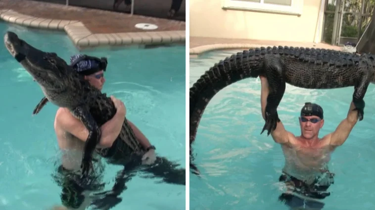 Florida Man Removes 9 Foot Alligator from Pool