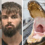 Florida Man Tries to Get Alligator Drunk, Gets Bitten