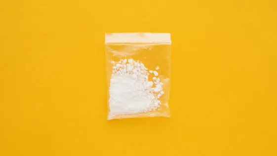 Florida Man Tells Police Bag of Cocaine Found in Car Must have Blown in from the Wind