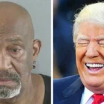 Drunken Florida Man Crashes Golf Cart, Blames Trump