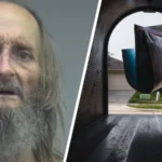 Florida Man Wearing Only Underwear Steals Mail, Attacks Homeowner