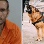 Naked Florida Man Bites K-9, Punches and Spits on Deputies