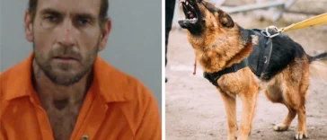 Naked Florida Man Bites K-9, Punches and Spits on Deputies