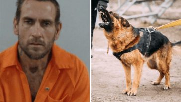 Naked Florida Man Bites K-9, Punches and Spits on Deputies