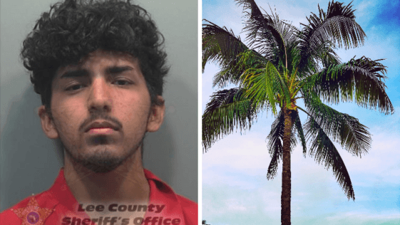 Naked Florida Man Humps Tree, Punches Deputy