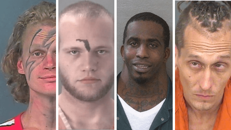 The Poke on X: People are sharing what Florida Man was doing on their  birthdays – 17 surreal headlines.    / X