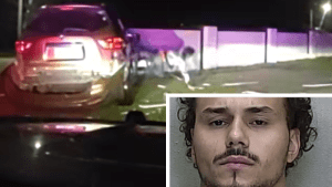 Florida Man Headbutts Car Window, Flops Out Like a Dolphin