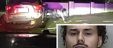 Florida Man Headbutts Car Window, Flops Out Like a Dolphin