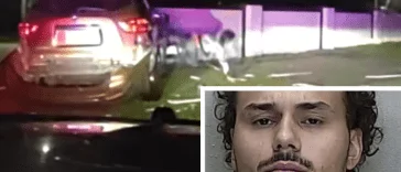Florida Man Headbutts Car Window, Flops Out Like a Dolphin