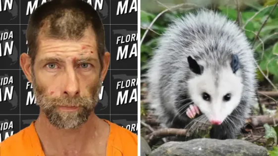 Florida Man Arrested For Pooping on Opossum in Public