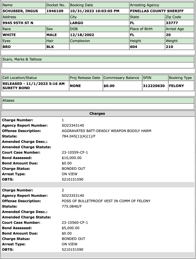 Florida Man BB Gun Haunted House Arrest Summary