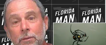 Florida Man Calls 911 to Report His Wife is a Black Widow Spider